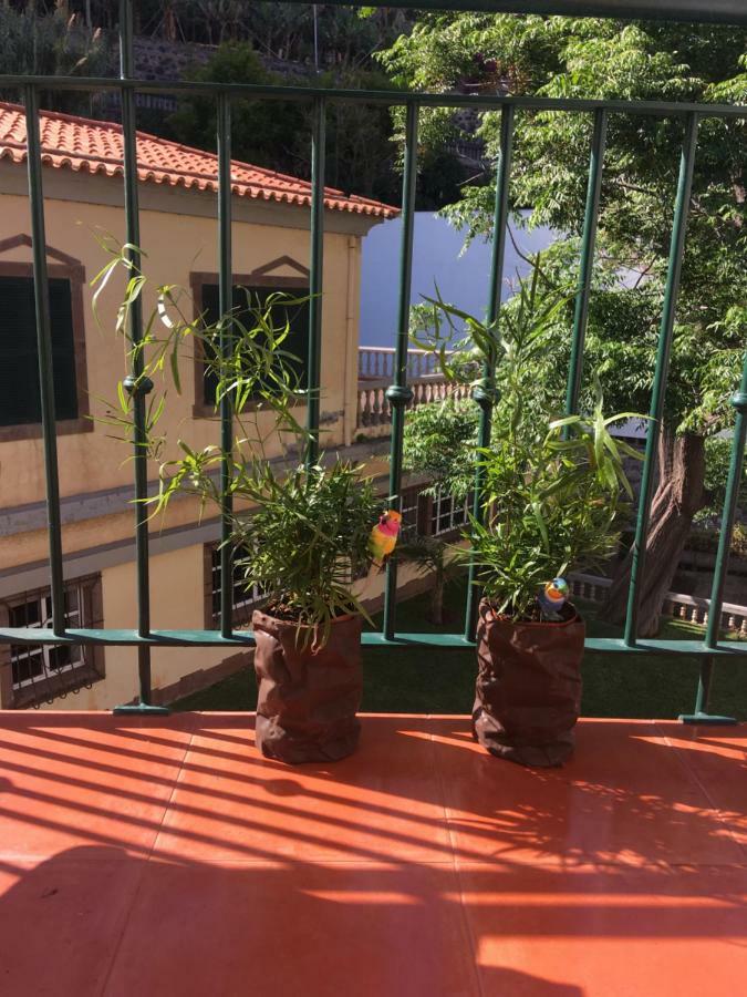 Sol Apt Beachfront Duplex Ponta do Sol (Madeira) Exterior foto
